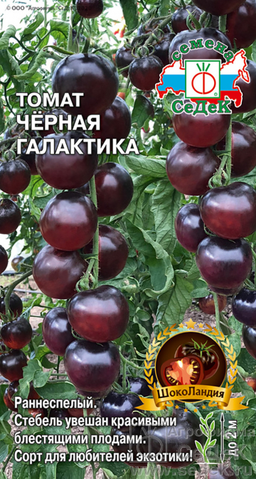 Томат_Черная Галактика (ШокоЛандия)_0,1_г._Седек