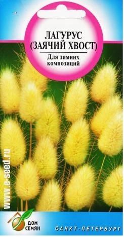 Лагурус_Заячий хвост (злак)_80_шт._Дом Семян С-П