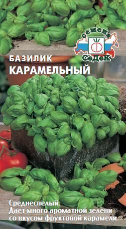 Базилик_Карамельный_0,2_г._Седек