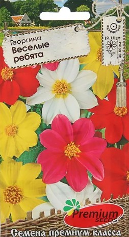 Георгин_Веселые ребята см_0,2_г._Премиум Сидс