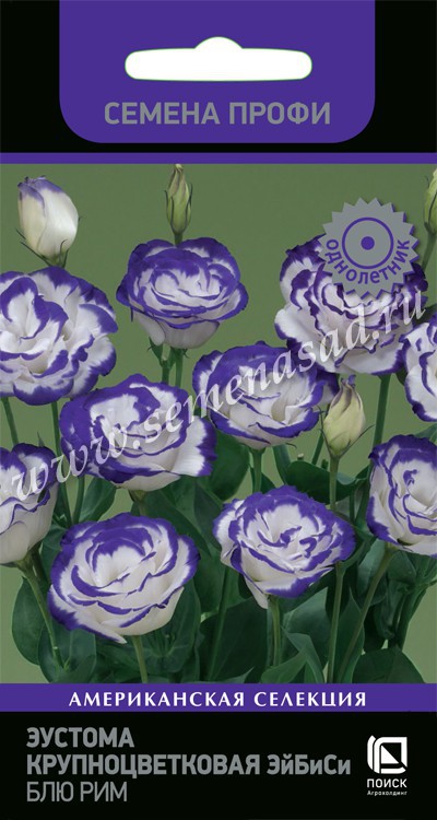 Эустома (Лизиантус)_Эйбиси Блю Рим_10_шт._Поиск