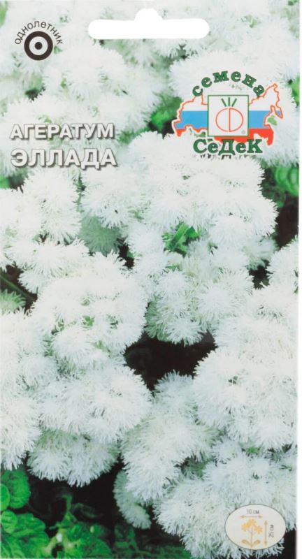 Агератум_Эллада (белый)_0,1_г._Седек
