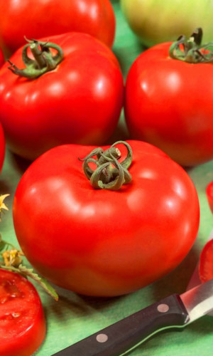 Томат_Президент III F1_12_шт._Уральский Дачник