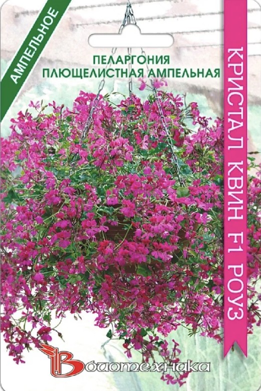Герань (Пеларгония)_Квин F1 Роуз (амп плющелистная)_5_шт._Биотехника