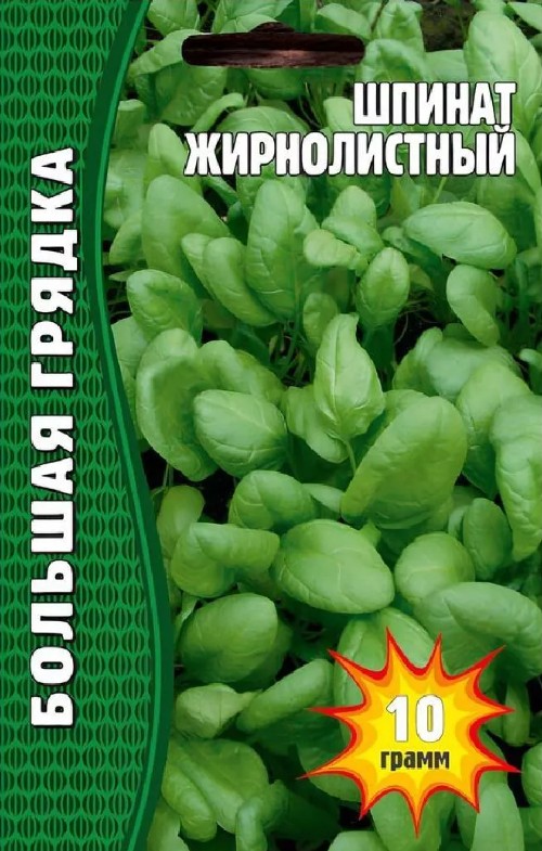 Шпинат_Жирнолистный ВП б/ф_5_г._Григорьев