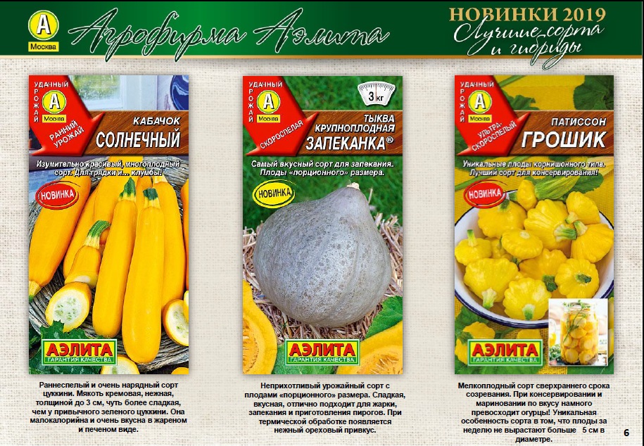 Кабачок_Солнечный (цуккини)_2_г._Аэлита