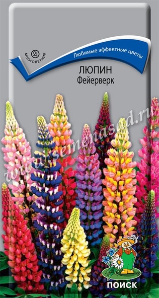 Люпин_Фейерверк см_1_г._Поиск