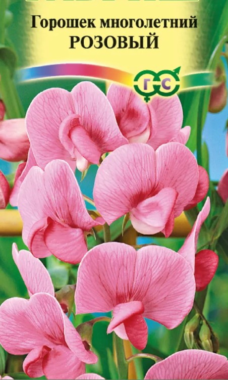 Горошек_Латирус Розовая (многолетний чина) б/ф_10_шт._Григорьев