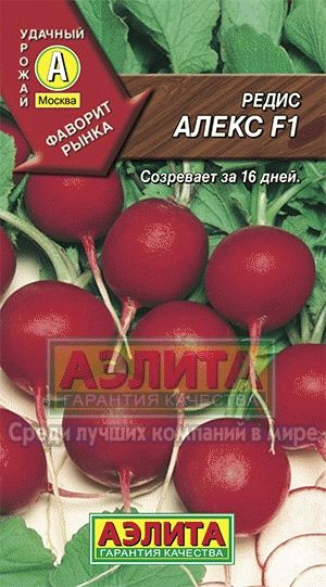 Редис_Алекс F1_3_г._Аэлита