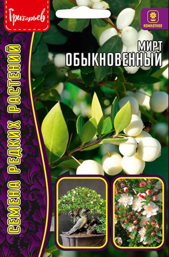 Мирт_Обыкновенный б/ф_10_шт._Григорьев