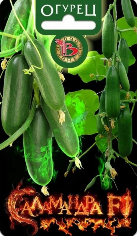 Огурец_Саламандра F1_0,04_шт._Биотехника