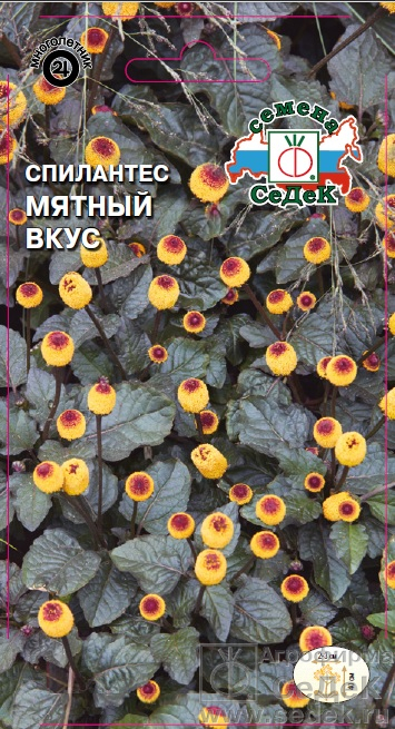 Спилантес_Мятный Вкус_0,1_г._Седек