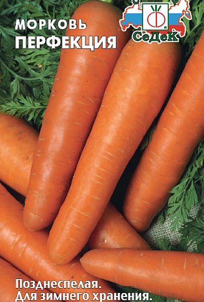 Морковь_Перфекция_2_г._Седек