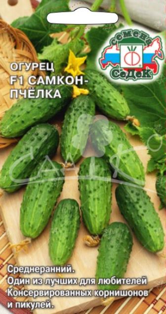 Огурец_Самкон Пчёлка_0,04_г._Седек