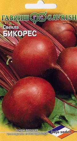 Свекла_Бикорес_1_г._Гавриш