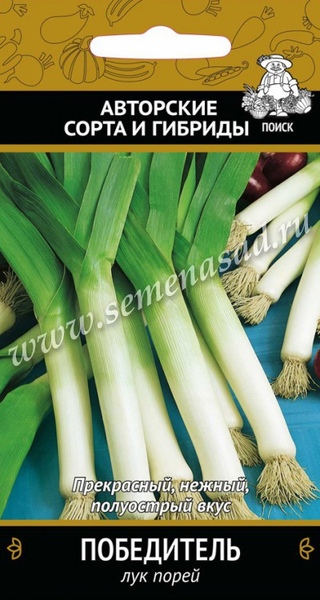 Лук_Победитель (порей)_1_г._Поиск