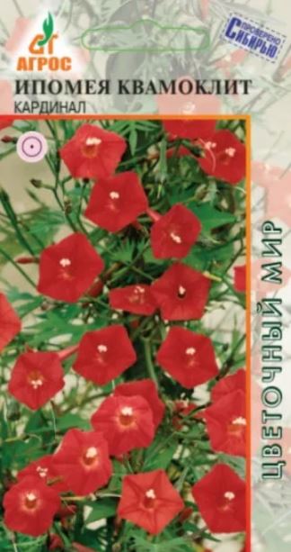 Ипомея_Кардинал (квамоклит)_10_шт._АГРОС