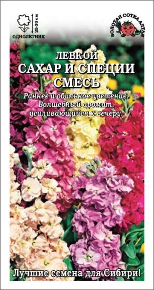 Левкой (маттиола)_Сахар и специи махр см_10_шт._Золотая Сотка Алтая