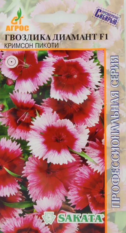 Гвоздика_Диамант F1 Кримcон Пикоти (Sakata)_10_шт._АГРОС