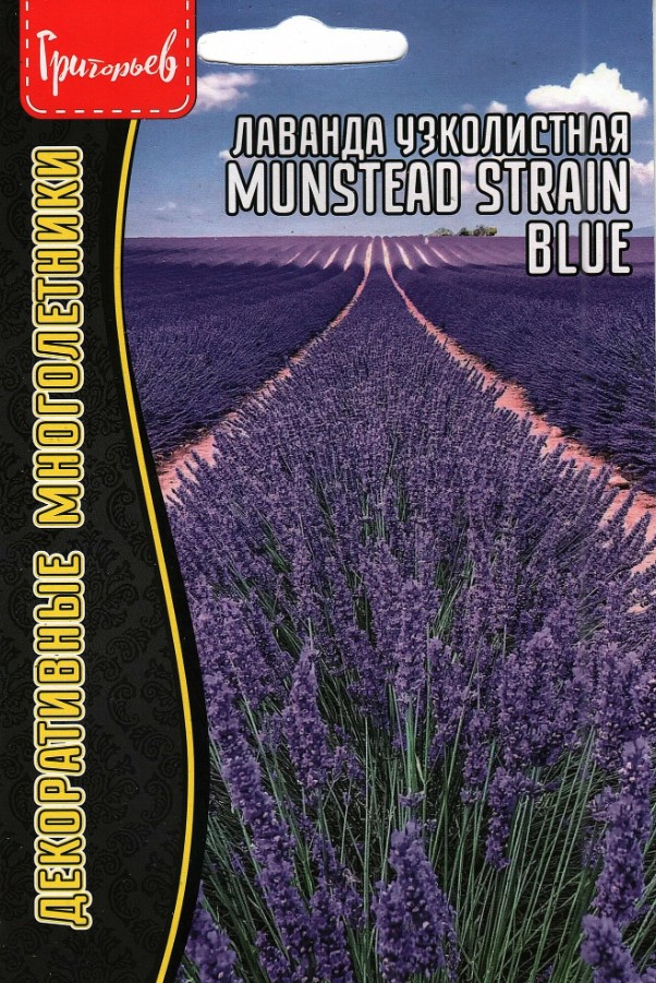 Лаванда_Узколистная (Munstead strain) б/ф_30_шт._Григорьев
