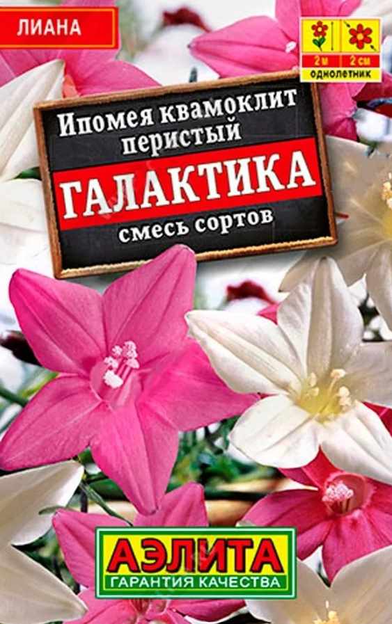 Ипомея_Галактика см (лидер) (квамоклит)_0,04_шт._Аэлита