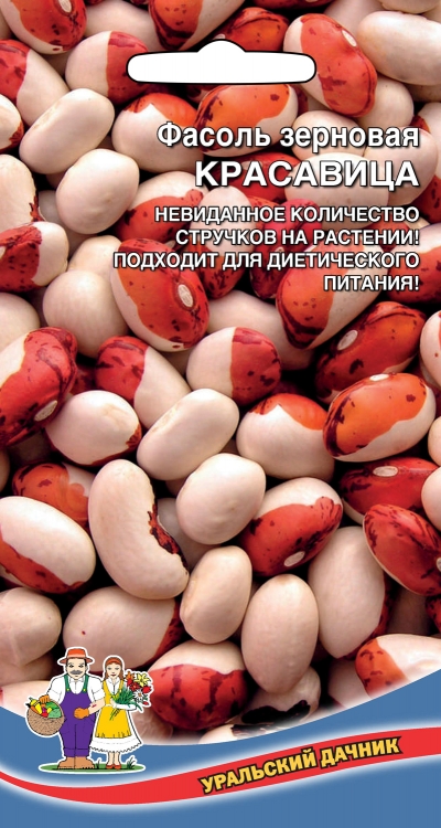 Фасоль_Красавица (зерновая)_10_шт._Уральский Дачник