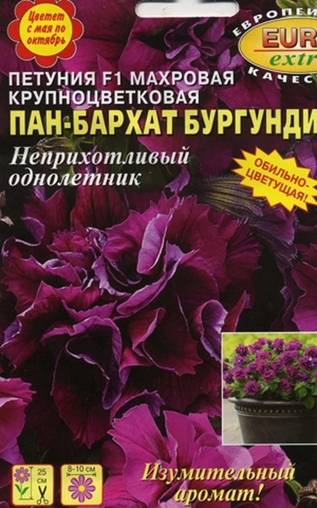 Петуния_Пан-бархат F1 см (махр)_10_шт._Аэлита Э