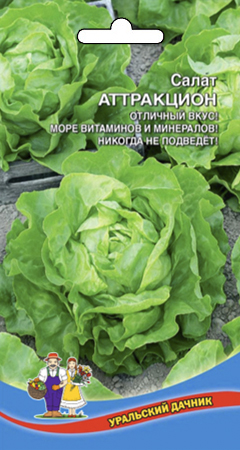 Салат_Аттракцион (кочан)_0,3_г._Уральский Дачник