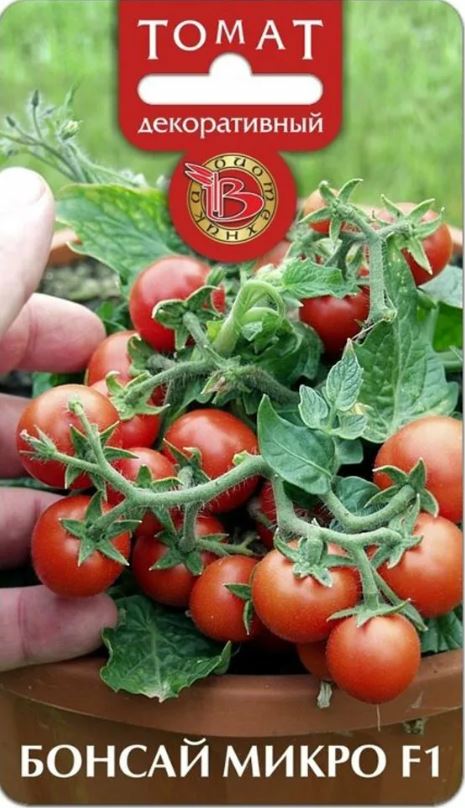 Томат_Бонсай Микро_0,04_шт._Биотехника