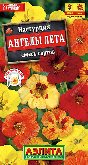 Настурция_Ангелы Лета см (куст)_1_г._Аэлита