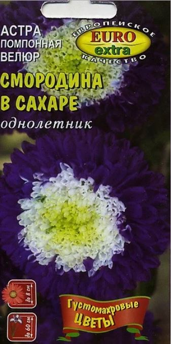 Астра_Велюр Смородина в сахаре (помпонная)_0,1_г._Аэлита Э