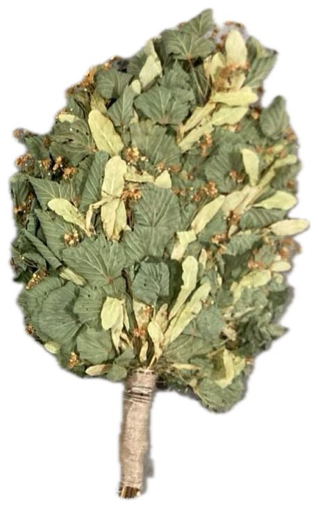 Веник ЛИПОВЫЙ ПРЕМИУМ