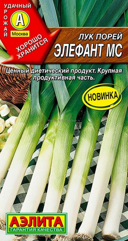 Лук_Элефант порей_0,04_г._Аэлита