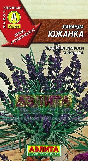 Лаванда_Южанка_0,1_г._Аэлита