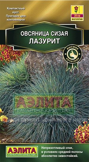 Овсяница_Сизая Лазурит (злак) (Золотая серия)_5_шт._Аэлита