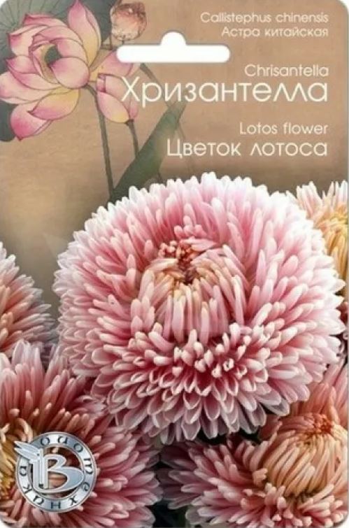 Астра_Хризантелла Цветок лотоса_0,04_шт._Биотехника