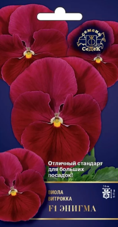 Виола (анютины глазки)_Энигма F1 (пурпурно-малиновая с ярко-желтым глазком)_5_шт._Седек