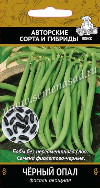Фасоль_Черный Опал (куст спарж зел)_20_шт._Поиск