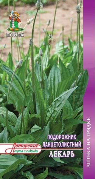 Подорожник_Ланцетолистный Лекарь_0,1_г._Поиск