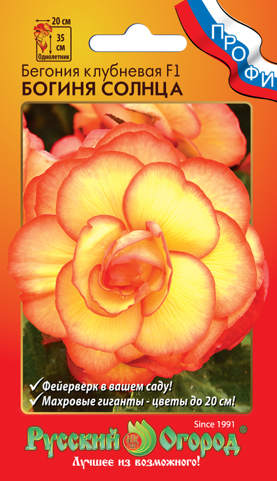 Бегония_Богиня Солнца F1 (клубн)_5_шт._НК