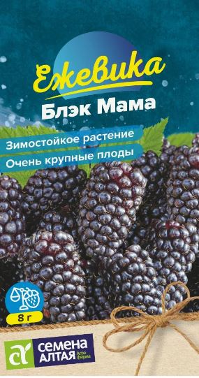 Ежевика_Блэк Мама_0,03_г._Семена Алтая