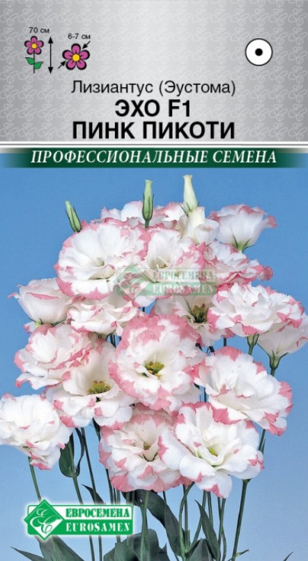 Эустома (Лизиантус)_Эхо F1 Пинк Пикоти (махр) (Профессиональные семена)_5_шт._ЕВРОСЕМЕНА