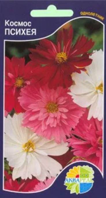Космея_Психея_20_шт._Акварель
