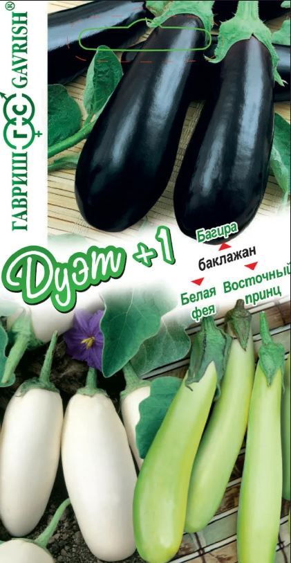 Баклажан_Дуэт+1 Багира + Белая Фея + Восточный принц_0,04_г._Гавриш