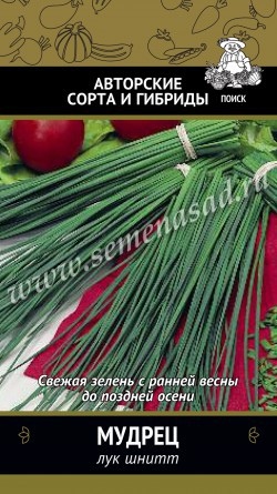 Лук_Мудрец (шнитт многолетний)_0,5_г._Поиск