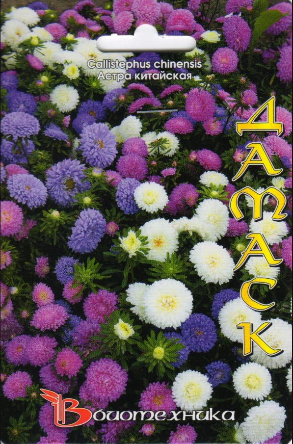 Астра_Дамаск см (низкорослая)_100_шт._Биотехника