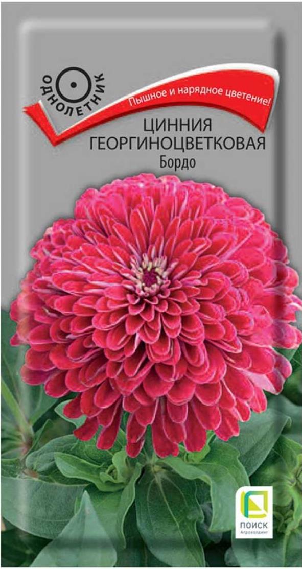Цинния_Бордо_0,4_г._Поиск