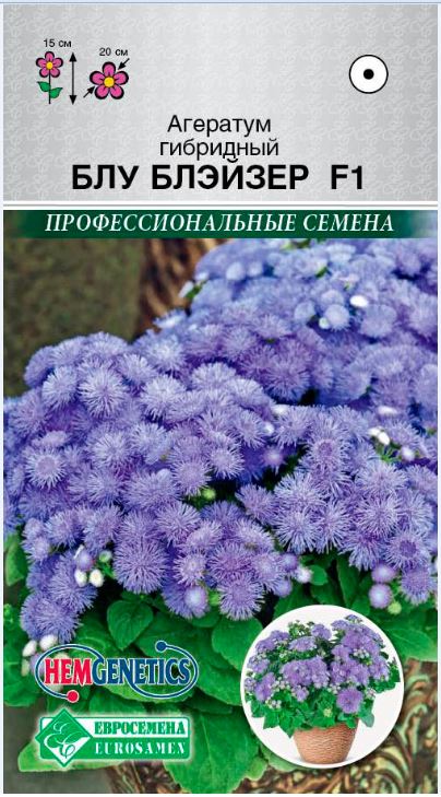 Агератум_Блу Блэйзер F1 (Профессиональные семена)_5_шт._Евросемена