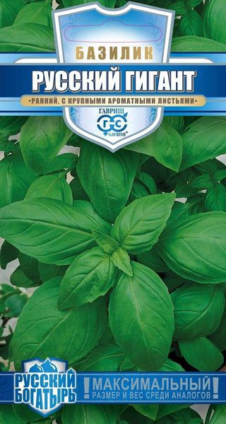 Базилик_Зеленый Русский гигант Рус. богатырь_0,1_г._Гавриш