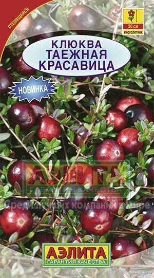 Клюква_Крупноплодная Таёжная красавица_0_г._Аэлита